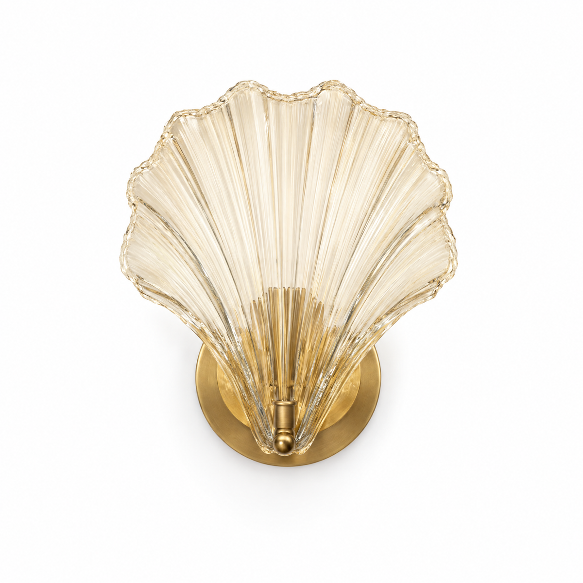Conca Shell Glass Wall Light on a white background