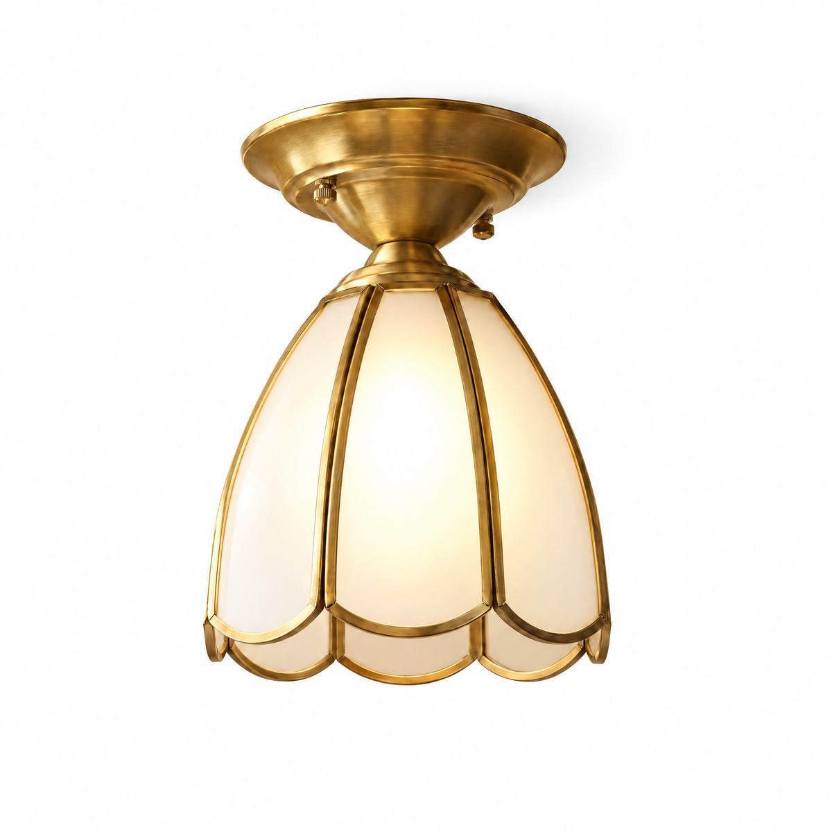 Fiora Tulip – white background product photo