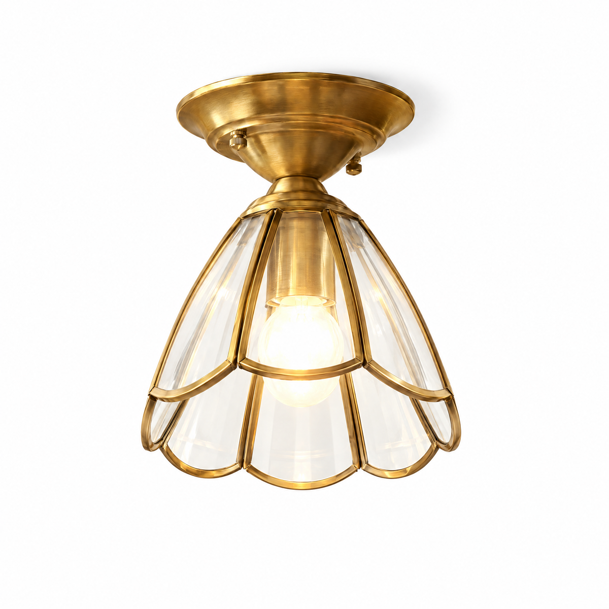 Fiora Petal – white background product photo