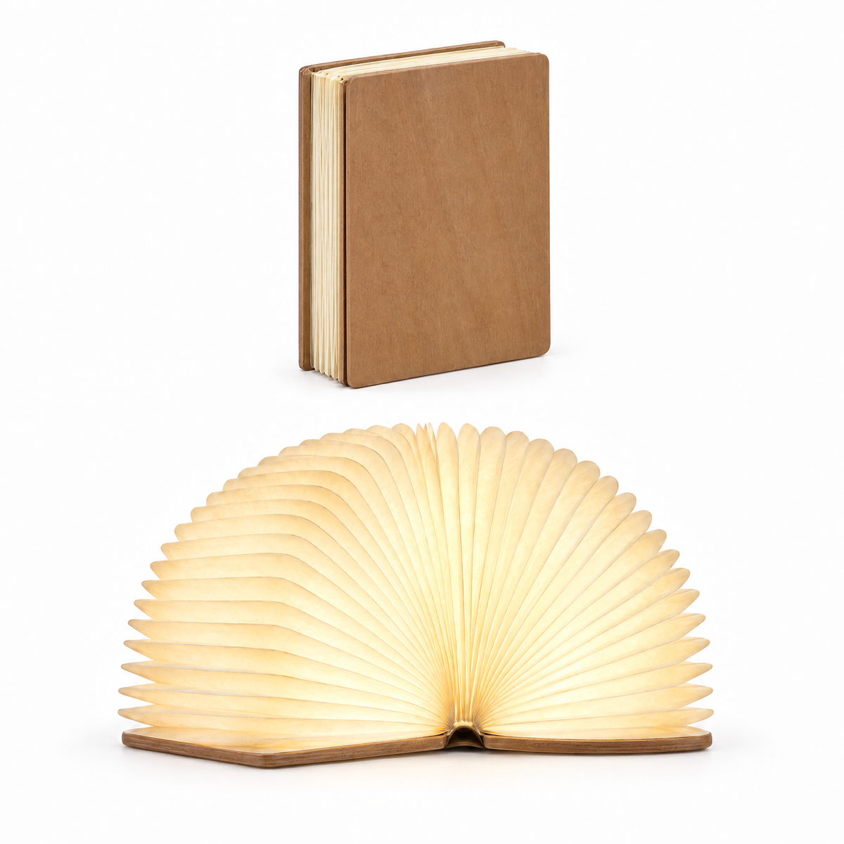 Pagina Brown – white background product photo